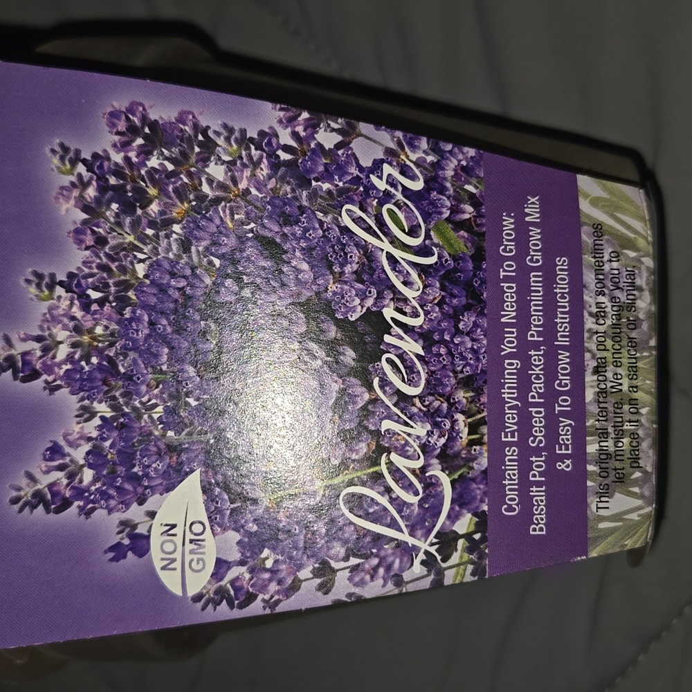 Lavender Grow Kit - Purple